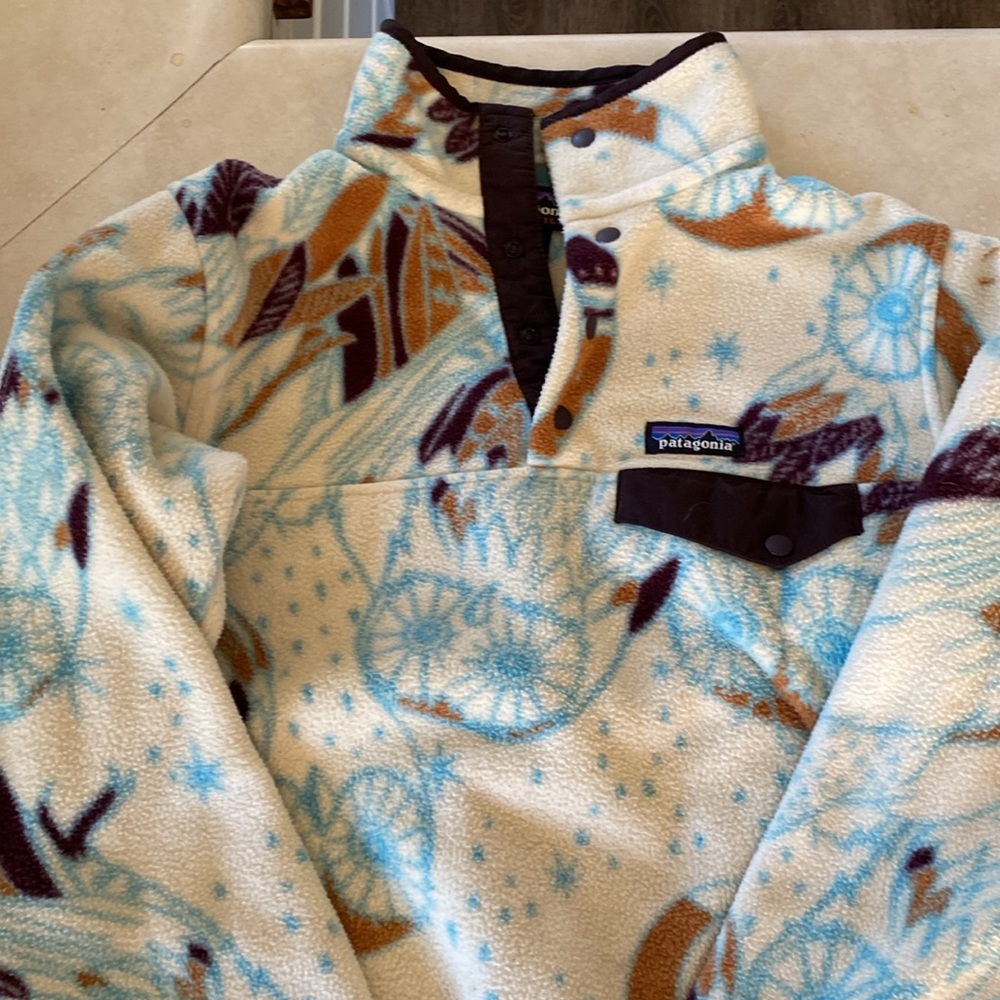 Patagonia Sweatshirt